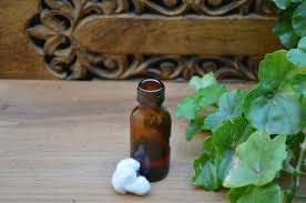 However, the wet season lasts from november to april while the dry season is from may to october. 15 Benefits Uses Of Cloves Lavangam For Skin Hair Health Wildturmeric