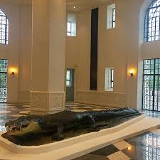 ×ª××¦××ª ×ª××× × ×¢×××¨ âªNATIONAL MUSEUM FOR NATURAL HISTORY rizal parkâ¬â
