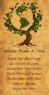 Advice From A Tree Nature Quotes Trees Tree Of Life Quotes Life Quotes Disney