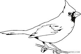 Simply do online coloring for drawing cardinal coloring page directly from your gadget, support this below coloring sheet height & width is about 600 pixel x 660 pixel with approximate file size for. Bird Outline Coloring Pages Cardinal Bird Outline Drawing Clipart Printable Coloring4free Coloring4free Com