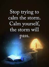 Cool Inspirational Life Quotes Words Of Wisdom Calm Yourself The Storm Will Pass Positive Quotes For Life Good Life Quotes Inspirational Words