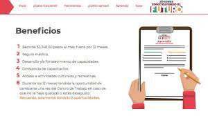 Jóvenes construyendo el futuro va dirigido a la población mexicana que sean jóvenes de entre 18 a 29 años de edad que no estudien ni trabajen. Asi Es La Nueva Plataforma De Jovenes Construyendo El Futuro Union Guanajuato