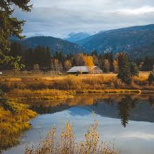 We did not find results for: Vallecito Lake Activities And Recreation Lone Wolf Cabins