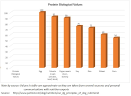 What Is Digestibility And Why Does It Matter