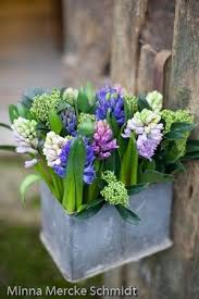 Hyazinthen Das Duftet Nach Fruhling Gepflanzt Werden Die Blumenzwiebeln Im Herbst Online Bestellen Bei Www Fluwel De Pflanzen Fruhlingsblumen Topfblumen