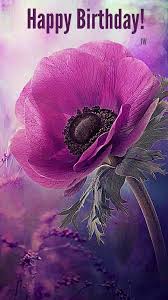 Get well soon delivery gifts. Pin By Nora Ferencz On Happy Birthday And Sayings Purple Poppies Purple Flowers Beautiful Flowers