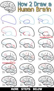 Easy to follow step by step tutorials, drawing inspirations and ideas. How To Draw A Human Brain Easy Steps Drawing Lesson For Beginners How To Draw Step By Step Drawing Tutorials