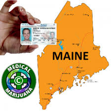 We did not find results for: How Do I Get Medical Cannabis Card In Maine Maine Weed Deals
