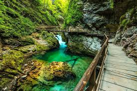 Slowenien Ein Schmuckstuck Fur Eure Bucketlist Slowenien Urlaub Urlaub Reisen Und Slowenien