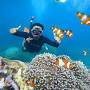 Private Tour Karimunjawa from www.getyourguide.com