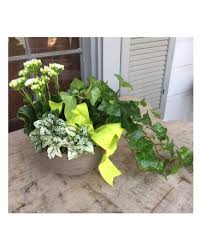 Allyson flowers germantown tennessee local florist & fruit delivery tn Bartlett Florist Find A Florist In A City Near You