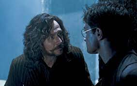 Wird eine heiße flüssigkeit eingefüllt, verändert sich . Netflix Film Harry Potter Sirius Black Darsteller Gary