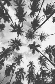 You can also upload and share your favorite tumblr background black and white. Wallpaper Iphone Tumblr Black 131 By Wallpaperssmartphone On Deviantart