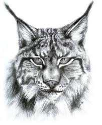 The ghost style doesn't feature the tattoo. Lynx Tattoo Design By Weiklink