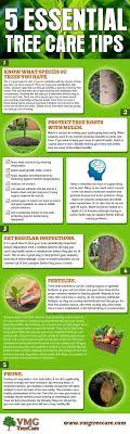 5 Essential Tree Care Tips Tree Care Tree Removal Tree Removal Service