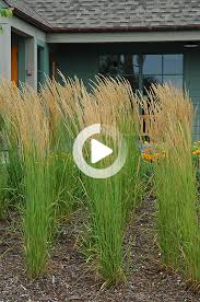 Epingle Sur Permaculture Jardinage