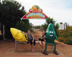 If you love good food and wine, parks and gardens, or maybe an adventurous hike up mount canobolas, visit us. Things To Do In Mildura With Kids The Kid Bucket List