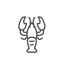 They are two single lines that come together like a sideways v. Lobster Outline Vector Images Over 1 500