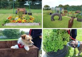 How To Turn Your Yard Into A Pet Friendly Place Friendly Place Sensory Garden Dog Garden Dog Garden Ideas