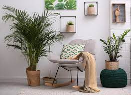 Además, las plantas nos permiten realizar la decoración de una estancia de forma fácil y rápida. Como Decorar Tu Casa Con Plantas Estilo Y Decoracion