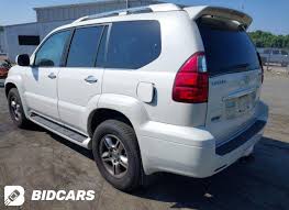 Image result for Blizzard Pearl 2008 GX