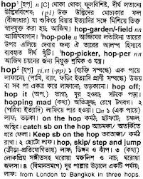 Mira name meaning in bengali, popularity and rank stands at 1541 and lucky number for mira is 5. Bangla To English Meaning Of Hop Bdword Com