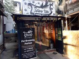Happy tails provides top of the line, full service dog grooming in st. The Happy Tails Matunga East Dog Trainers In Mumbai Justdial
