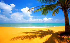 Maybe you would like to learn more about one of these? 76 Beach Wallpaper Desktop On Wallpapersafari