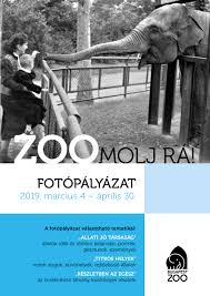 Tömegek vártak erre a hírre: Itt A Budapest Fotofesztival Es A Fovarosi Allatkert Kozos Fotopalyazata Ujbuda
