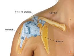 How long will it take for my shoulder to heal? Shoulder Dislocation What You Need To Know As A Patient