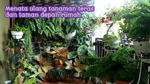 Apakah kalian termasuk orang yang gemar menata tanaman di halaman depan rumah?. Menata Ulang Tanaman Di Teras Dan Taman Depan Rumah Youtube