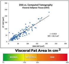 dexa body composition visceral fat testing san antonio