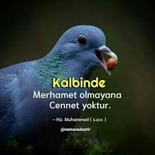 Hulya Erdogan Adli Kullanicinin Namazedeptir Panosundaki Pin Dualar Iman Ve Gece