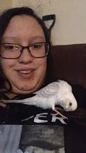 Ovoviviwhatnow?!......😂 Stumped