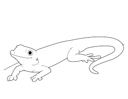 Below are some free printable gecko coloring pages. Coloring Pages Coloring Pages Gecko Lizard Printable For Kids Adults Free