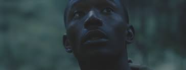 Cultivation Interviews