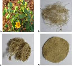 Image result for Abutilon indicum