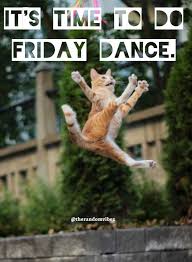 70 Funniest Friday Memes And Best Tgif Meme For The Weekend Funny Friday Memes Funny Cat Memes Friday Humor