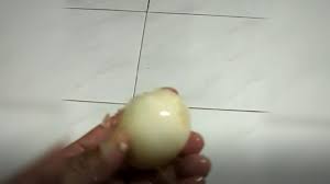 Didik mashudi , editor : Viral Telur Tiruan Ni Masuk Malaysia Youtube