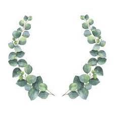 Image Result For Eucalyptus Leaves Drawing Suluboya Cicekler Resim Cerceveleri Cicekli Baski