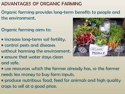 What Kind Of Fertilizer Is Used In Organic Farming In 2020 Growing Organic Vegetables Organic Farming Growing Food