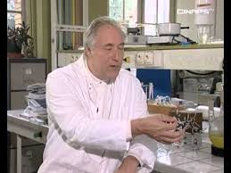 Effervesciences Herve This La Gastronomie Moleculaire Gastronomie Moleculaire Gastronomie Cuisine Moleculaire