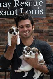 You can also post pets for rehoming on craigslist and on facebook in pets needing rehomed st. Imczhbtgoziapm