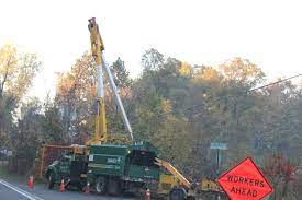 Davey Tree Expert Company Wikipedia
