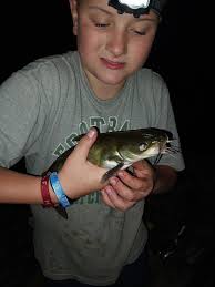 Pike Island Locks and Dam Fishing