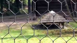 Wildpark Grafenberger Wald Da Sseldorf Youtube Pets Zoo Wald