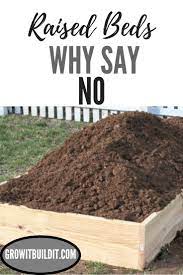 Raised Bed Gardens Why Say No To Them Raised Garden Beds Garden Beds Raised Beds
