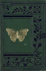 Pin On Moths And Moons And Nightly Things