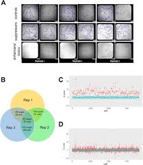 In agriculture, pests either feed on crops or livestock or compete with them for resources. Drug Screens Of Ngly1 Deficiency Worm And Fly Models Reveal Catecholamine Nrf2 And Anti Inflammatory Pathway Activation As Potential Clinical Approaches Biorxiv