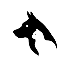 Registration of an emotional support animal with esa registration of america does not give you any additional legal rights. Emotional Support Animal Texas Emotional Support Animal Letter Esa Letter For Housing Paws And Whiskers